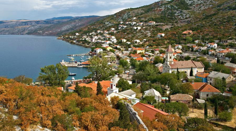 Nuestro inventario incluye una amplia variedad de vehículos.